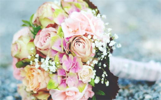 身旺月令忌女命解析与命运建议