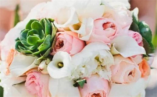 属鼠女属猴男婚配_属鼠女属猴男婚配好吗