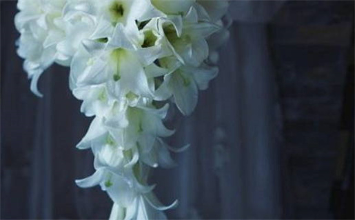 摩羯座女生约会的真实态度与原因解析