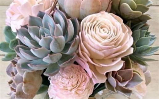 1960年属鼠的名人有哪些揭秘与分析