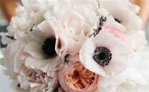 射手座月食影响解析及应对策略