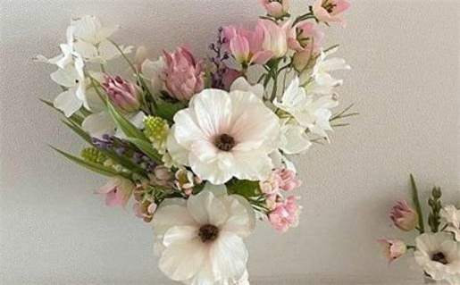 射手座女明星的命运与潜力分析