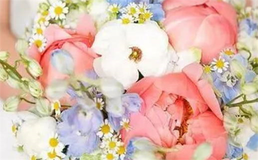 不能追求的女命八字(不能娶的女人八字)