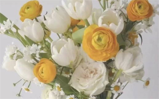 伤官格女命如何嫁给成功丈夫的秘诀解析