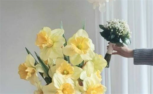 天秤座容易怀旧吗男士女士(天秤座容易怀旧吗男士女士)