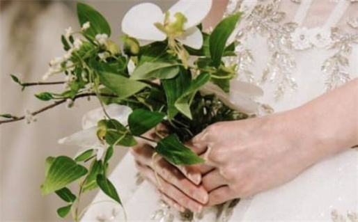 紫微流鸾代表什么(紫薇流鸾是什么意思)