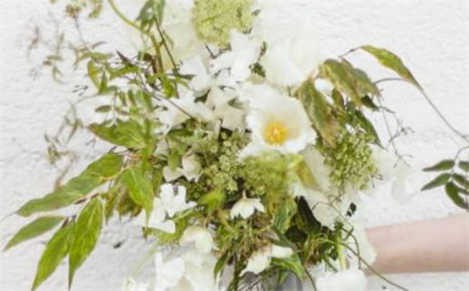 水瓶座女喜欢告白吗(水瓶女喜欢直接的表白吗)