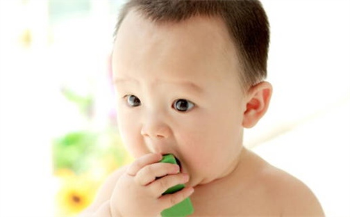 朱姓2026年02月19日出生的女孩子取什么名字好？八字五行取名分析