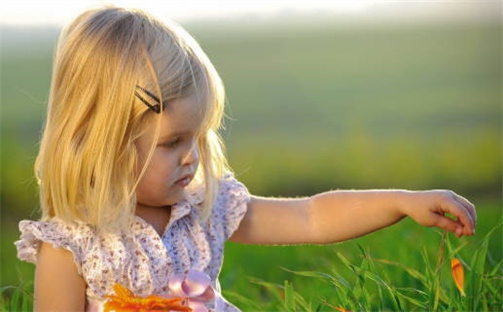 朱姓女孩起名指南：精致典雅名字大全(301个)