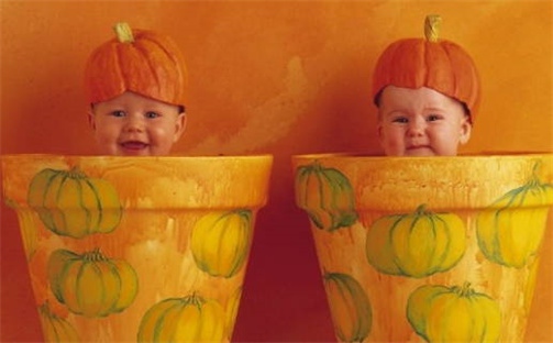 杨姓书香气质的女孩名字