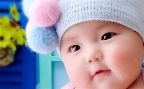 2026年02月13日农历二〇二五年腊月廿六出生的杨姓女宝宝取名全攻略